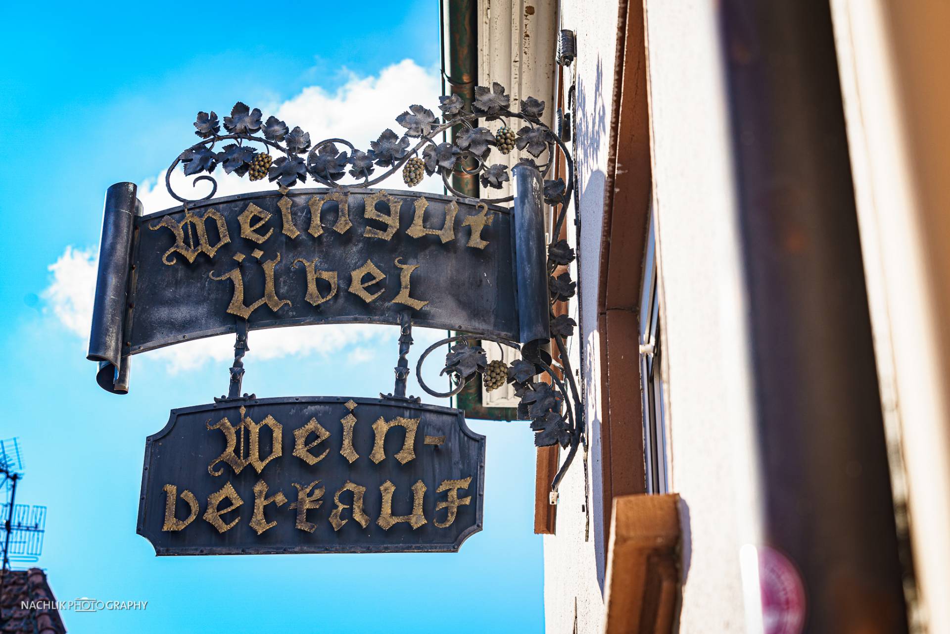 Weinberge Leinsweiler